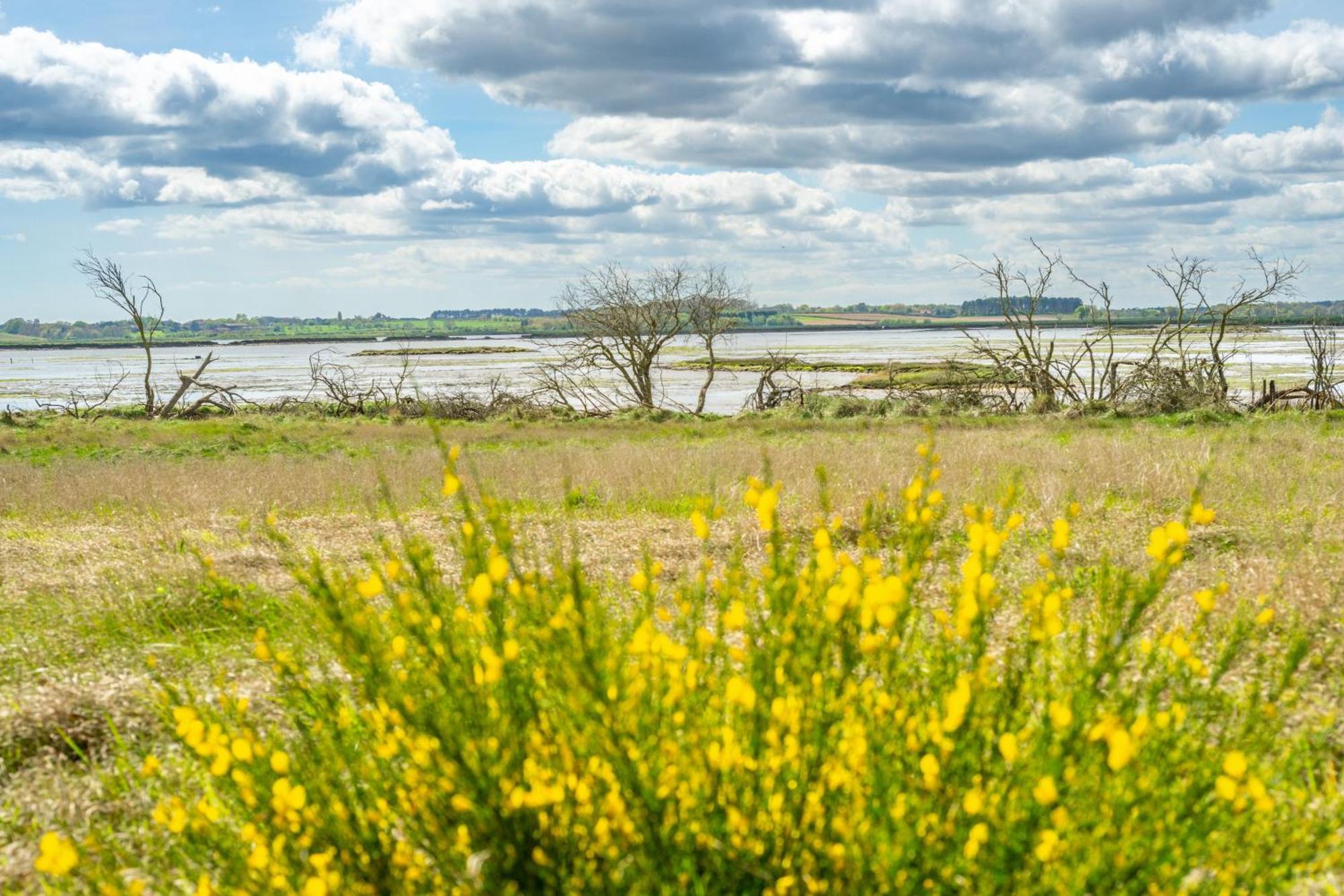 Marsh View Vila Aldeburgh Exterior foto